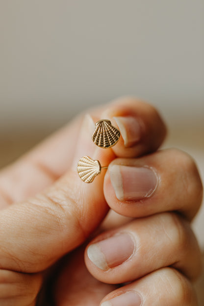 small shell earrings