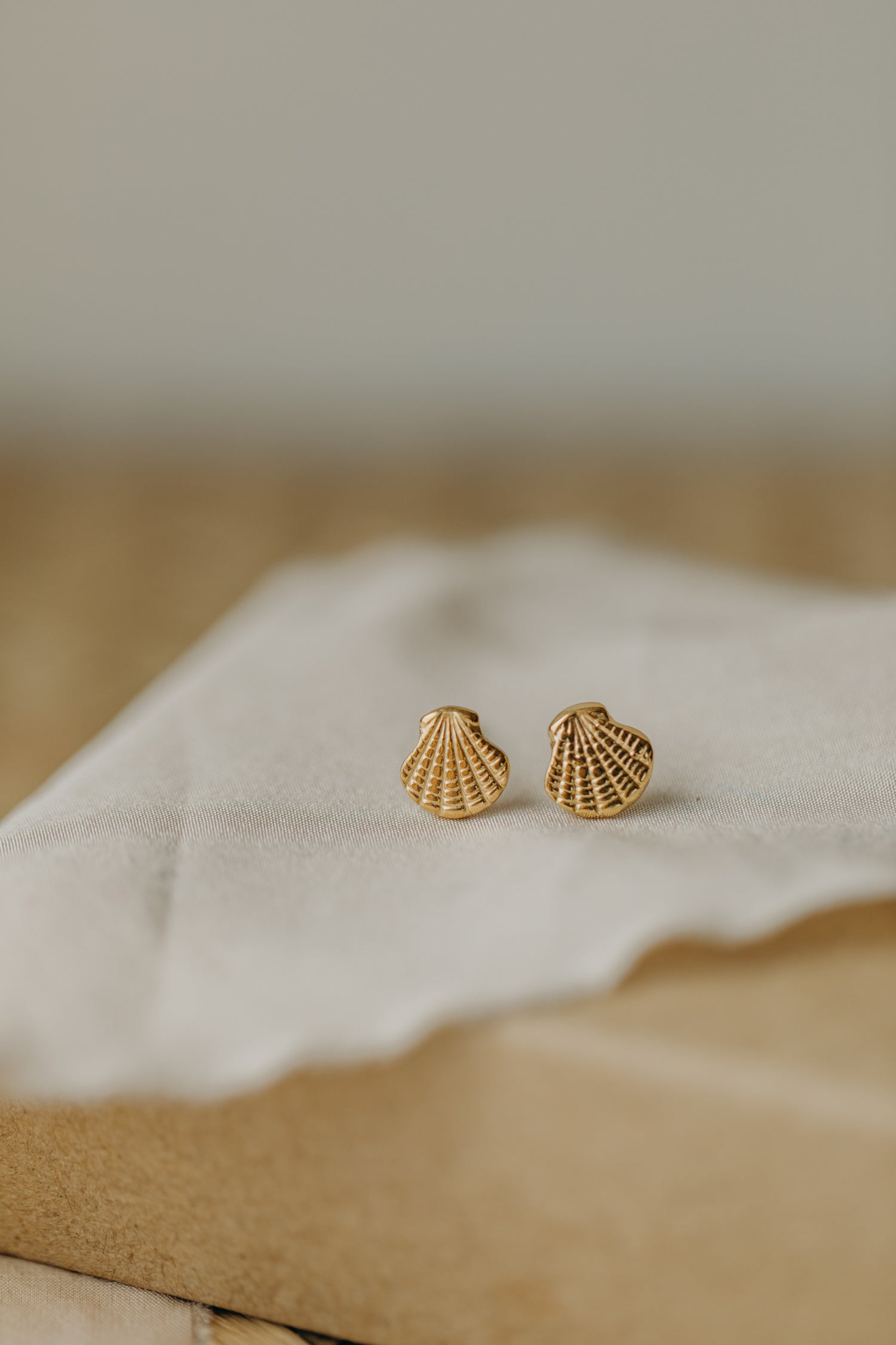 small shell earrings